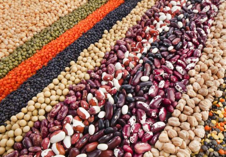 Vente de légumes secs Clermont-Ferrand